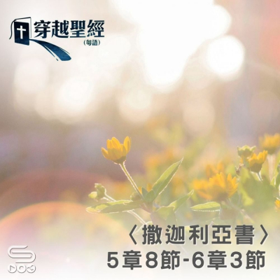 Soooradio 基督教廣播電台 穿越聖經（1199） - 〈撒迦利亞書〉5章8節-6章3節