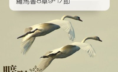 Soooradio 基督教廣播電台 曠野嗎哪（004） - 羅馬書8章9-17節