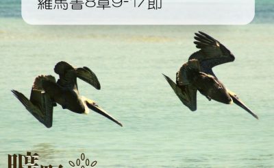 Soooradio 基督教廣播電台 曠野嗎哪（005） - 羅馬書8章9-17節