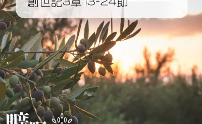 Soooradio 基督教廣播電台 曠野嗎哪（013） - 創世記3章13-24節