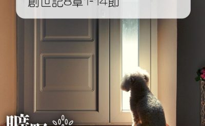 Soooradio 基督教廣播電台 曠野嗎哪（020） - 創世記8章1-14節