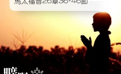 Soooradio 基督教廣播電台 曠野嗎哪（058） - 馬太福音26章36-46節