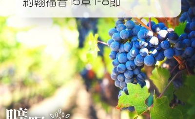 Soooradio 基督教廣播電台 曠野嗎哪（062） - 約翰福音15章1-8節