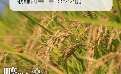 Soooradio 基督教廣播電台 曠野嗎哪（068） - 歌羅西書1章15-22節