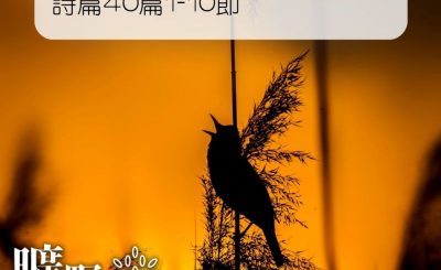 Soooradio 基督教廣播電台 曠野嗎哪（086） - 詩篇40篇1-10節
