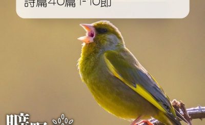 Soooradio 基督教廣播電台 曠野嗎哪（087） - 詩篇40篇1-10節