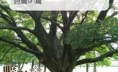 Soooradio 基督教廣播電台 曠野嗎哪（088） - 詩篇91篇