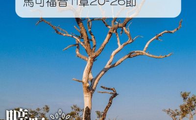 Soooradio 基督教廣播電台 曠野嗎哪（110） - 馬可福音11章20-26節