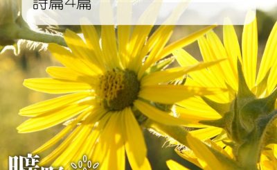 Soooradio 基督教廣播電台 曠野嗎哪（125） - 詩篇4篇