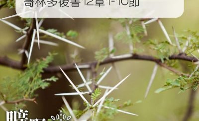 Soooradio 基督教廣播電台 曠野嗎哪（145） - 哥林多後書12章1-10節