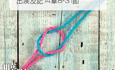 Soooradio 基督教廣播電台 曠野嗎哪（171） - 出埃及記14章8-31節