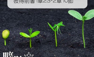 Soooradio 基督教廣播電台 曠野嗎哪（175） - 彼得前書1章23-2章10節