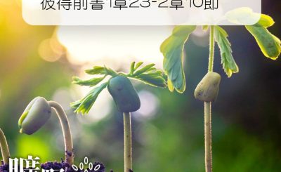 Soooradio 基督教廣播電台 曠野嗎哪（176） - 彼得前書1章23-2章10節