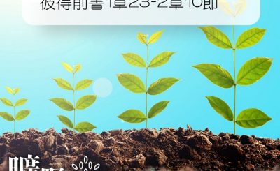 Soooradio 基督教廣播電台 曠野嗎哪（177） - 彼得前書1章23-2章10節