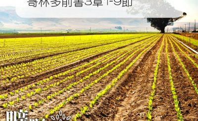 Soooradio 基督教廣播電台 曠野嗎哪（192） - 哥林多前書3章1-9節