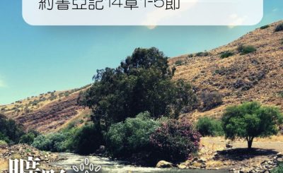 Soooradio 基督教廣播電台 曠野嗎哪（222） - 約書亞記14章1-5節