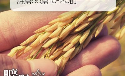 Soooradio 基督教廣播電台 曠野嗎哪（251） - 詩篇66篇10-20節