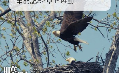 Soooradio 基督教廣播電台 曠野嗎哪（282） - 申命記32章1-14節