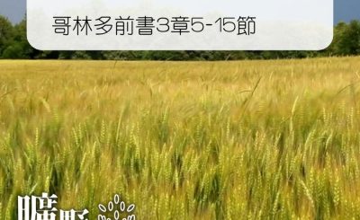 Soooradio 基督教廣播電台 曠野嗎哪（289） - 哥林多前書3章5-15節