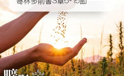 Soooradio 基督教廣播電台 曠野嗎哪（291） - 哥林多前書3章5-15節