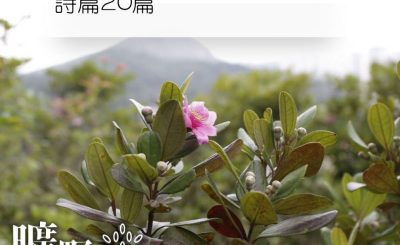 Soooradio 基督教廣播電台 曠野嗎哪（322） - 詩篇20篇