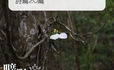 Soooradio 基督教廣播電台 曠野嗎哪（323） - 詩篇20篇