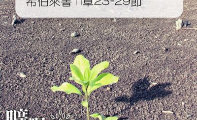 Soooradio 基督教廣播電台 曠野嗎哪（360） - 希伯來書11章23-29節