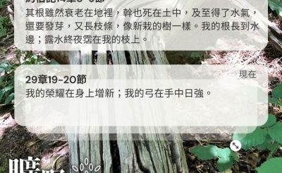 Soooradio 基督教廣播電台 曠野嗎哪（380） - 其根雖然衰老在地裡，幹也死在土中，及至得了水氣，還要發芽，又長枝條，像新栽的樹一樣。我的根長到水邊；露水終夜霑在我的枝上。