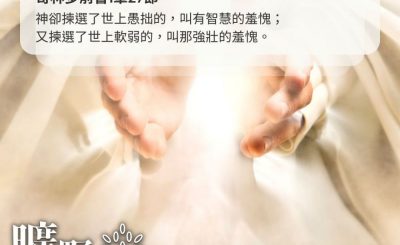 Soooradio 基督教廣播電台 曠野嗎哪（395） - 神卻揀選了世上愚拙的，叫有智慧的羞愧；又揀選了世上軟弱的，叫那強壯的羞愧。（哥林多前書1章27節）