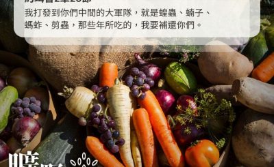 Soooradio 基督教廣播電台 曠野嗎哪（404） - 我打發到你們中間的大軍隊，就是蝗蟲、蝻子、螞蚱、剪蟲，那些年所吃的，我要補還你們。（約珥書2章25節）