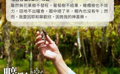 Soooradio 基督教廣播電台 曠野嗎哪（419） - 雖然無花果樹不發旺，葡萄樹不結果，橄欖樹也不效力，田地不出糧食，圈中絕了羊，棚內也沒有牛；然而，我要因耶和華歡欣，因救我的神喜樂。（哈巴谷書3章17-18節）