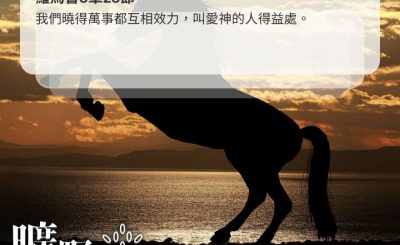 Soooradio 基督教廣播電台 曠野嗎哪（449） - 我們曉得萬事都互相效力，叫愛神的人得益處。（羅馬書8章28節）