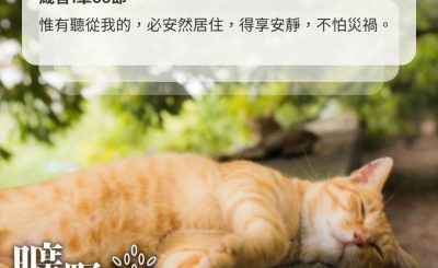 Soooradio 基督教廣播電台 曠野嗎哪（501） - 不怕艱困