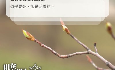 Soooradio 基督教廣播電台 曠野嗎哪（509） - 生於憂患