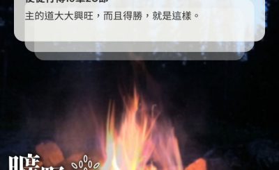 Soooradio 基督教廣播電台 曠野嗎哪（522） - 主道興旺