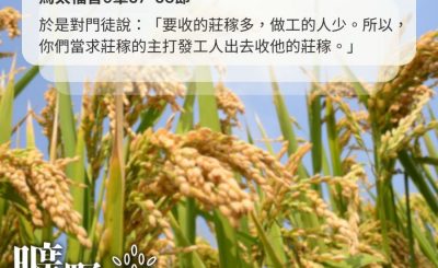 Soooradio 基督教廣播電台 曠野嗎哪（525） - 收割莊稼