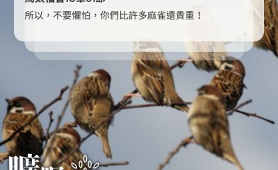 Soooradio 基督教廣播電台 曠野嗎哪（536） - 祂看顧麻雀