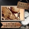 Soooradio 基督教廣播電台 逆境追光者 - 跨時空對話（23）- 心如刀割下自愛自強的動力