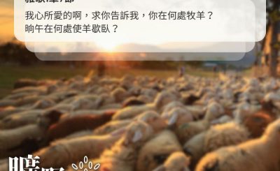 Soooradio 基督教廣播電台 曠野嗎哪（541） - 歇息的藝術