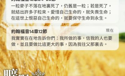 Soooradio 基督教廣播電台 曠野嗎哪（543） - 一粒麥子