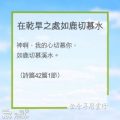 Soooradio 基督教廣播電台 教會年曆靈修(0224) - 在乾旱之處如鹿切慕水
