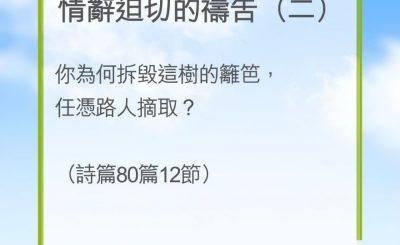 Soooradio 基督教廣播電台 教會年曆靈修（0265） - 情辭迫切的禱告（二）
