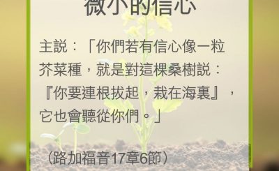 Soooradio 基督教廣播電台 教會年曆靈修（0309） - 微小的信心
