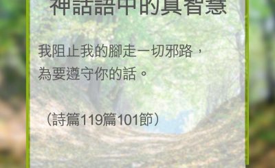 Soooradio 基督教廣播電台 教會年曆靈修（0334） - 神話語中的真智慧