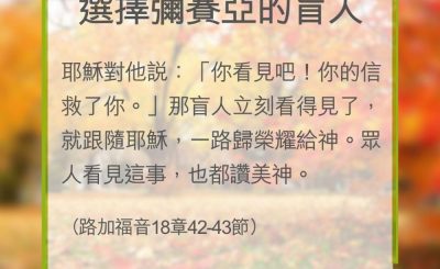 Soooradio 基督教廣播電台 教會年曆靈修（0341） - 選擇彌賽亞的盲人