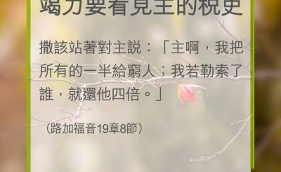 Soooradio 基督教廣播電台 教會年曆靈修（0342） - 竭力要看見主的稅吏