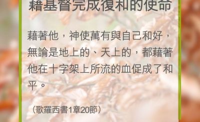 Soooradio 基督教廣播電台 教會年曆靈修（0358） - 藉基督完成復和的使命