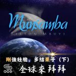 Soooradio 基督教廣播電台 全球來拜拜（49）- 「剛」強壯膽，多結「果」子（下）