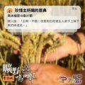 Soooradio 基督教廣播電台 曠野嗎哪（604） - 珍惜主所賜的恩典