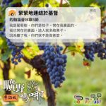 Soooradio 基督教廣播電台 曠野嗎哪（610） - 緊緊地連結於基督